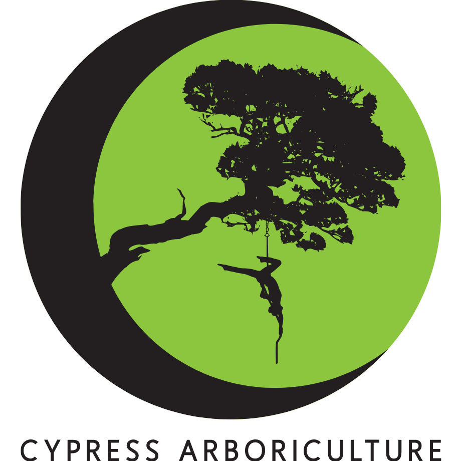 Cypress Arboriculture logo