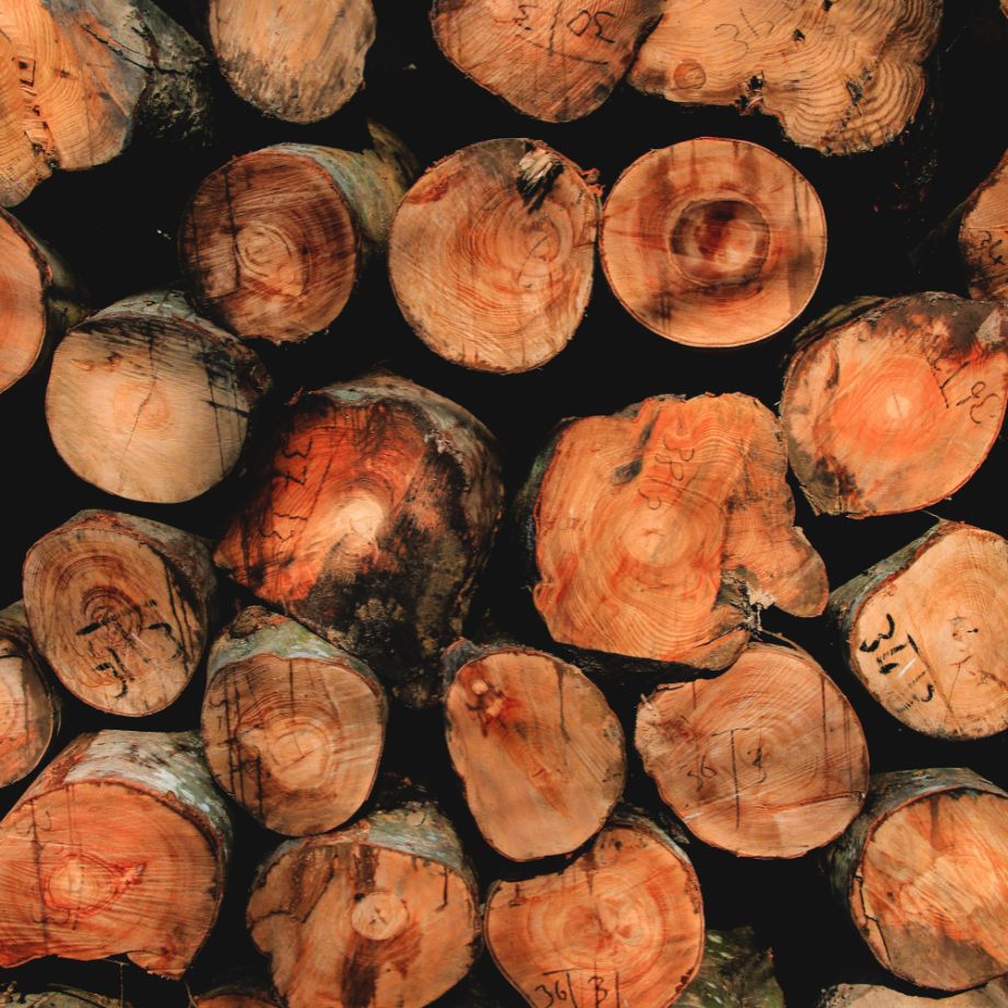 fire-mitigation