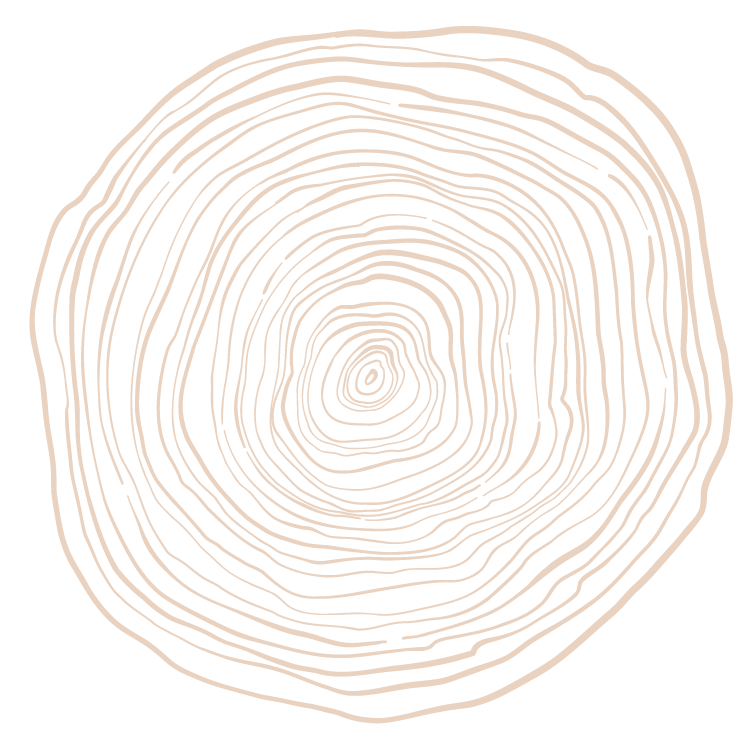 Image of tree rings